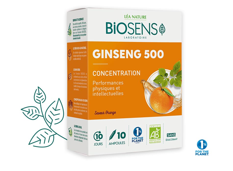 Ampoules Ginseng 500