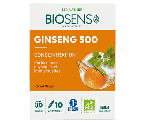Ampoules Ginseng 500